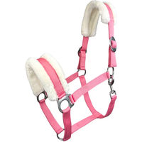 Produktbild von Pferdehalfter York Sophia für Ponys in Rosa mit Edelstahlbeschlägen