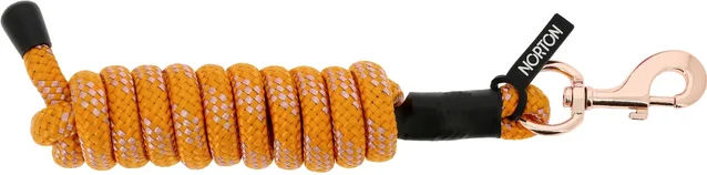 Produktbild von Pferdelonge Norton Lolly aus Kunststoff in Roségold und Orange