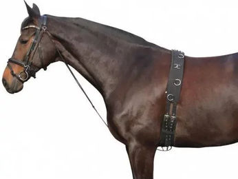 Produktbild von Pferdemaulkorb York aus Leder in Schwarz
