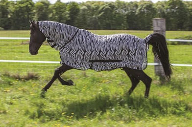 Pferdenetzdecke Riding World Combo Zebra Motiv Schwarz Weiß Rückenlänge 120 cm – Bild 1 von 3