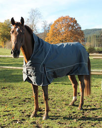 Pfiff Winterdecke Stebbins Pferdedecke grau 135 cm – Bild 1 von 1