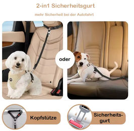 Pfoten-Boutique 2-in-1 Hundesicherungsleine aus Nylon in Schwarz – Bild 1 von 1
