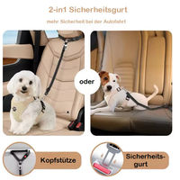 Produktbild von Pfoten-Boutique 2-in-1 Hundesicherungsleine aus Nylon in Schwarz
