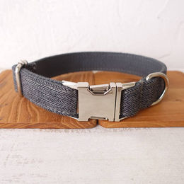 Pfoten-Boutique Hundehalsband mit Gurtband und Gravur grau XS – Bild 1 von 1