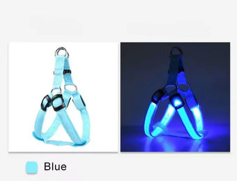 Pfoten-Boutique LED Hundegeschirr aus Nylon blau Größe M USB wiederaufladbar – Bild 1 von 1