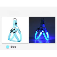 Produktbild von Pfoten-Boutique LED Hundegeschirr aus Nylon blau Größe M USB wiederaufladbar