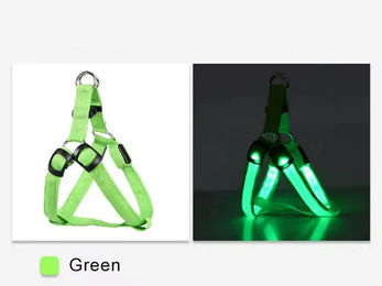 Pfoten-Boutique LED Hundegeschirr aus Nylon grün Größe S USB wiederaufladbar – Bild 1 von 1