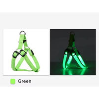 Produktbild von Pfoten-Boutique LED Hundegeschirr aus Nylon grün Größe S USB wiederaufladbar