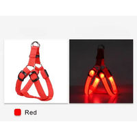 Produktbild von Pfoten-Boutique LED Hundegeschirr aus Nylon rot XS USB wiederaufladbar