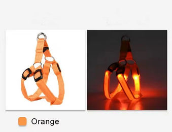 Pfoten-Boutique LED Hundegeschirr aus Nylon USB wiederaufladbar Orange XS – Bild 1 von 1