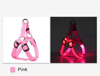 Pfoten-Boutique LED Hundegeschirr USB wiederaufladbar aus Nylon in Rosa XS – Bild 1 von 1
