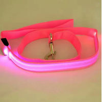 Produktbild von Pfoten-Boutique LED Hundeleine wiederaufladbar 120 cm Rosa