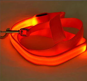 Pfoten-Boutique LED Hundeleine wiederaufladbar 120 cm rot – Bild 1 von 1