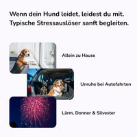Produktbild von pfotenkumpels Seelenyoga Beruhigungssnacks für Hunde mit Baldrian und Johanneskraut hypoallergen 200g