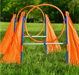 PfotenWunder Agility-Hürden Set XXL für Hunde Training Parcours – Bild 1 von 13