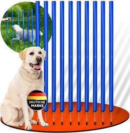 PfotenWunder Agility-Slalom Set aus Kunststoff für Hunde mit 10 Slalom-Stangen in Blau – Bild 1 von 4