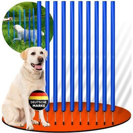 PfotenWunder Agility-Slalom-Set aus Metall mit 10 Slalomstangen in Blau für Hundetraining – Bild 1 von 3