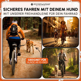 PFOTENWUNDER Fahrradleine für Hunde mit Ruckdämpfer und Trainingsbuch in Schwarz – Bild 1 von 9