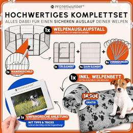 PfotenWunder Welpenlaufstall 8-teilig aus Metall mit Hundebett und Trainingsbuch, 2x2m groß und 80cm hoch, schwarz, wetterfest für Indoor und Outdoor – Bild 1 von 6