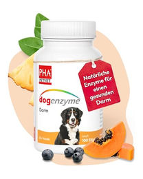 PHA Dogenzyme Darm Tabletten für Hunde mit Enzymen und Vitaminen 100 Stück – Bild 1 von 4