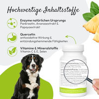 Produktbild von PHA dogenzyme Gelenktabletten für Hunde mit Enzymkomplex und Vitaminen zur Unterstützung der Gelenke und Mobilität 100 Stück