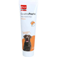 Produktbild von PHA GastroPaste Magen-Darm Paste für Hunde 100 ml