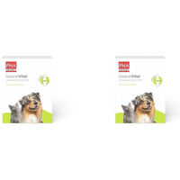 Produktbild von PHA Gelenk Vital Ergänzungsfutter Pulver für Hunde und Katzen 300g