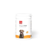 Produktbild von PHA Magenvital Pulver 200 g