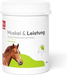 Produktbild von PHA Muskel & Leistung Liquid Nahrungsergänzung für Pferde zur Unterstützung von Muskelaufbau und Herzfunktion 850g