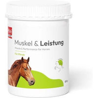 Produktbild von PHA Muskel & Leistung Liquid Nahrungsergänzung für Pferde zur Unterstützung von Muskelaufbau und Herzfunktion 850g
