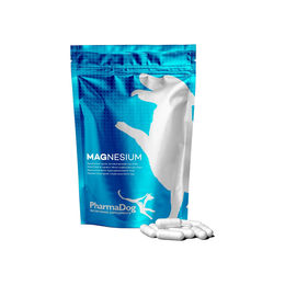 Produktbild von PharmaDog Magnesium Nahrungsergänzung für den Muskelaufbau 100 Kapseln