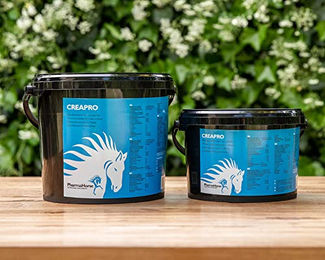 PharmaHorse Creapro Nahrungsergänzung für Pferde mit Glycin, L-Arginin und L-Methionin 3000 Gramm – Bild 1 von 3