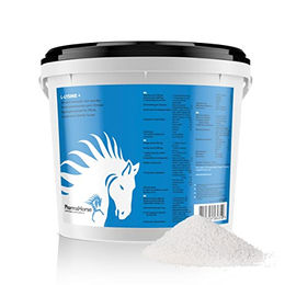 PharmaHorse L-Lysin+ Ergänzungsfutter zur Immunstärkung für Pferde 3000 Gramm – Bild 1 von 4