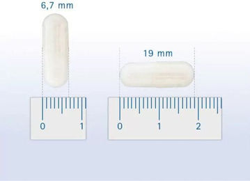 Produktbild von Pharmox Kollagen Typ II Gelenk-Supplement für Hund und Katze 60 Kapseln