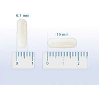 Produktbild von Pharmox Kollagen Typ II Gelenk-Supplement für Hund und Katze 60 Kapseln