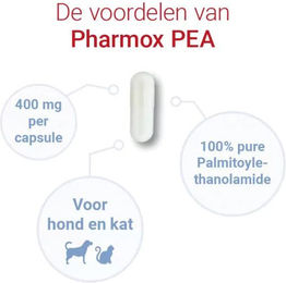 Pharmox PEA 100% Rein zur Immunstärkung für Hunde und Katzen 2 x 60 Kapseln – Bild 1 von 1