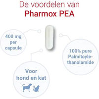 Produktbild von Pharmox PEA 100% Rein zur Immunstärkung für Hunde und Katzen 2 x 60 Kapseln