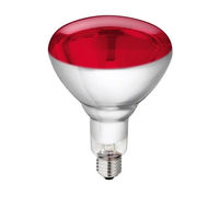 Produktbild von Philips Infrarotlampe 250 Watt IR 250 RH R125 Wärmelampe - 1 Stk.
