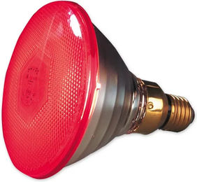 Philips Rotlichtlampe PAR38 Infrarot 100W Rot aus Glas für Huhn und Ferkel – Bild 1 von 3