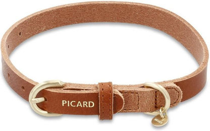 Picard Hundehalsband Susi aus Echtleder in Braun Größe S – Bild 1 von 2