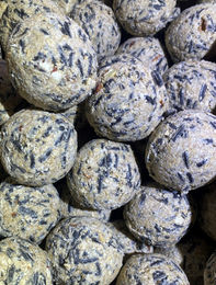 PickUp Meisenknödel Premium Wildvogelfutter Ganzjahresfutter ohne Netz 20er Packung – Bild 1 von 3