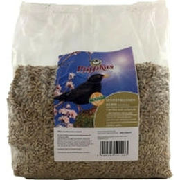 PickUp Sonnenblumenkerne schalenlos für Wildvögel 2,5 kg - 2,5 kg – Bild 1 von 2