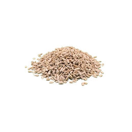 PickUp Winter Wildvogel Sonnenblumenkerne geschält 25 kg – Bild 1 von 1