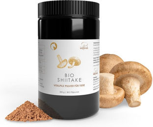 Pilze Wohlrab Bio Shiitake Pulver für Tiere – Bild 1 von 1
