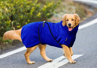 Pisi & Bili Hundebademantel aus 100% Baumwolle Blau für erwachsene Hunde – Bild 1 von 5