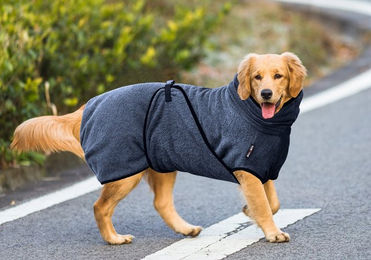 Pisi & Bili Hundebademantel aus 100% Baumwolle für erwachsene Hunde in Grau – Bild 1 von 5