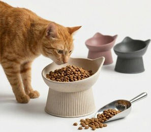 PIUPET Erhöhter Katzennapf Beige Ergonomischer Futternapf aus Bambus für alle Altersstufen – Bild 1 von 12