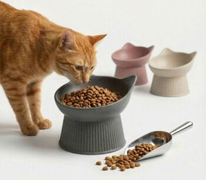 PIUPET Erhöhter Katzennapf Grau Ergonomischer Futternapf aus Bambusfasern für alle Altersstufen – Bild 1 von 11