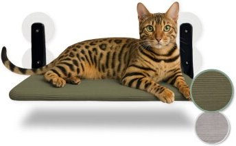 PiuPet Katzenfensterliege Hängematte Grün Jumbo für erwachsene Katzen mit Edelstahl-Elementen – Bild 1 von 7