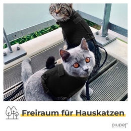 PiuPet Katzengeschirr Fritz mit 1,2m Leine ausbruchsicher schwarz Größe M – Bild 1 von 5